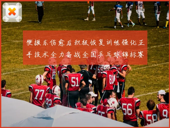 樊振东伤愈后积极恢复训练强化正手技术全力备战全国乒乓球锦标赛